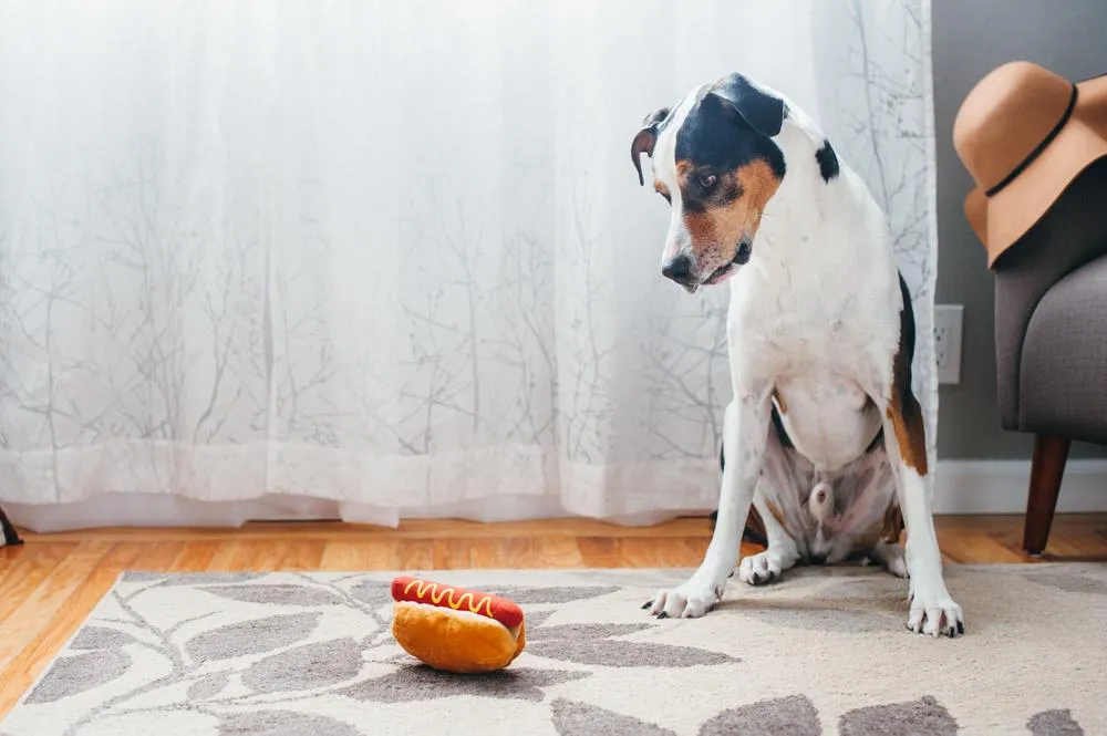Dog Plush Toy - American Classic Collection