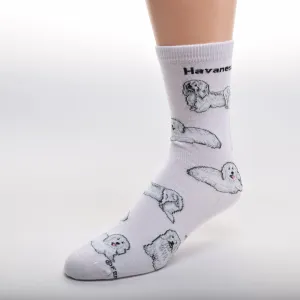 FBF Havanese Poses Sock