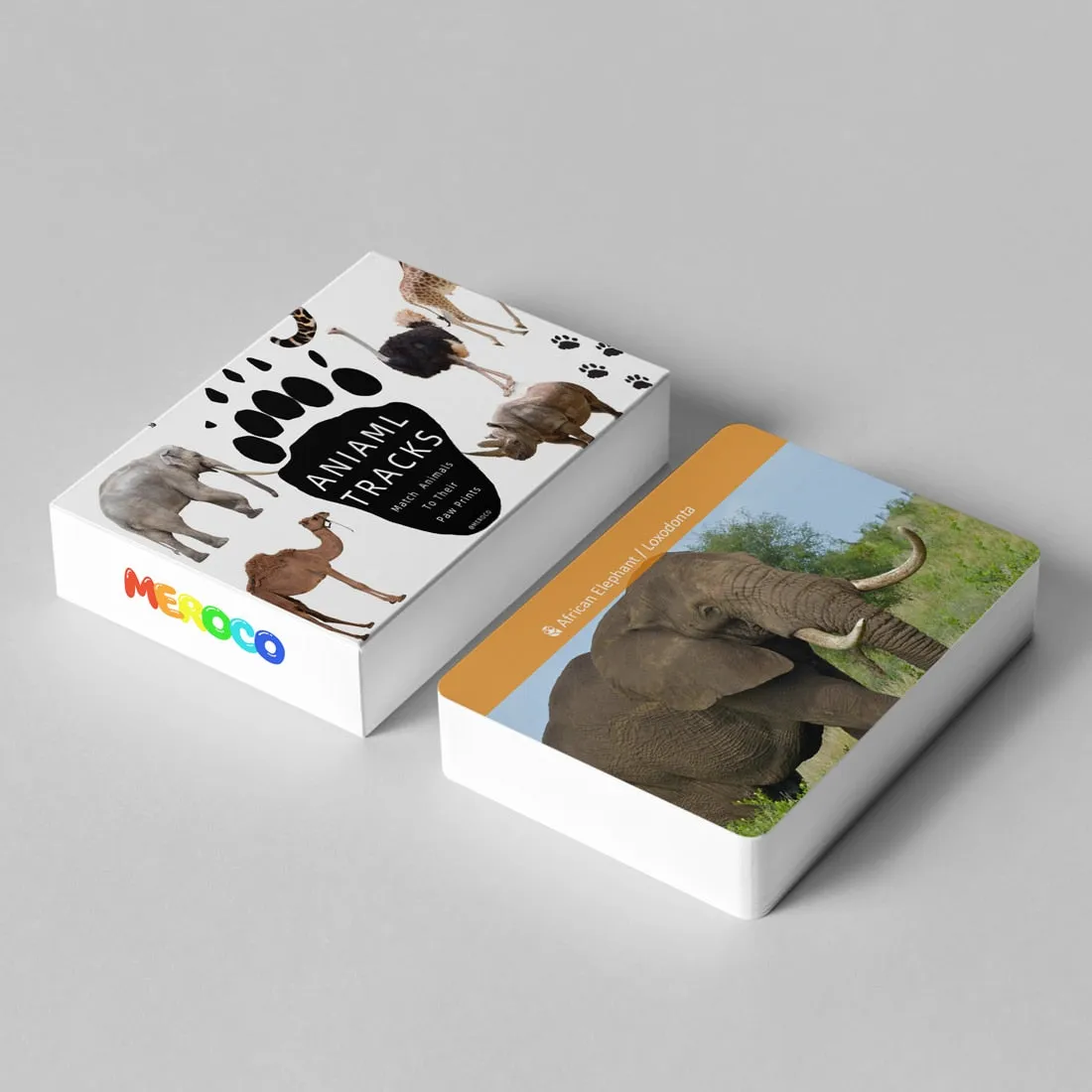 Interactive African Animal Footprint Flash Cards for Kids Educational Fun