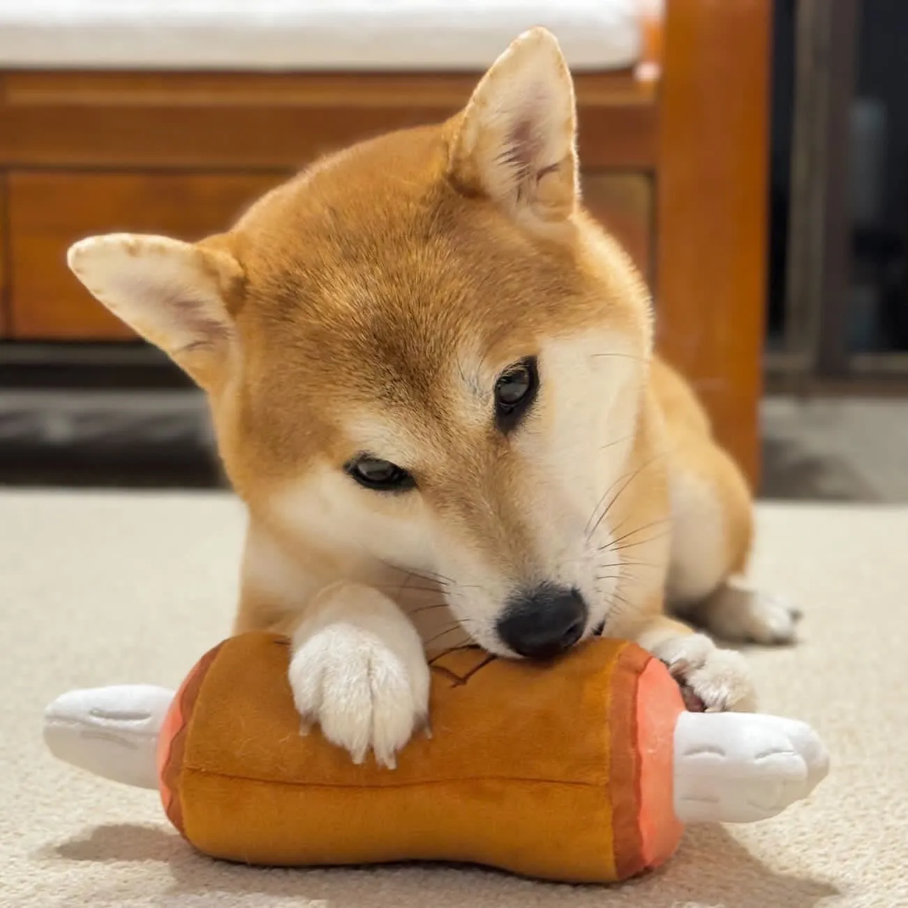 MEAT STICK PLUSH DOG TOY