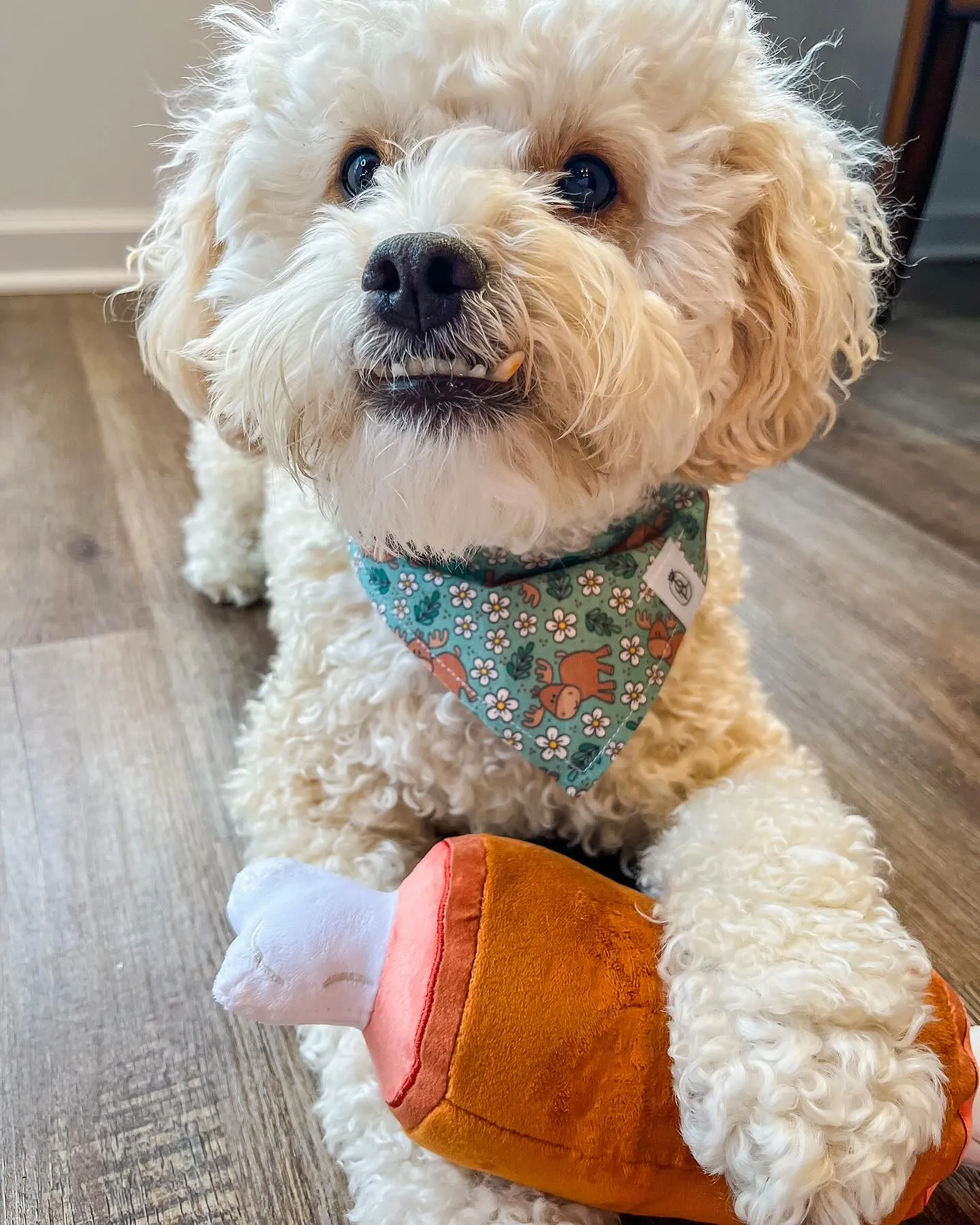 MEAT STICK PLUSH DOG TOY