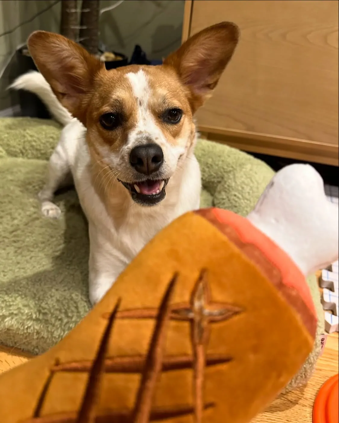 MEAT STICK PLUSH DOG TOY