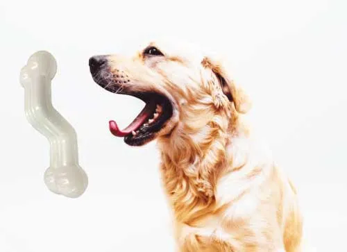 Nylabone Power Chew Flavored Durable Chew Toy for Dogs Chicken Flavor (3 Pack)