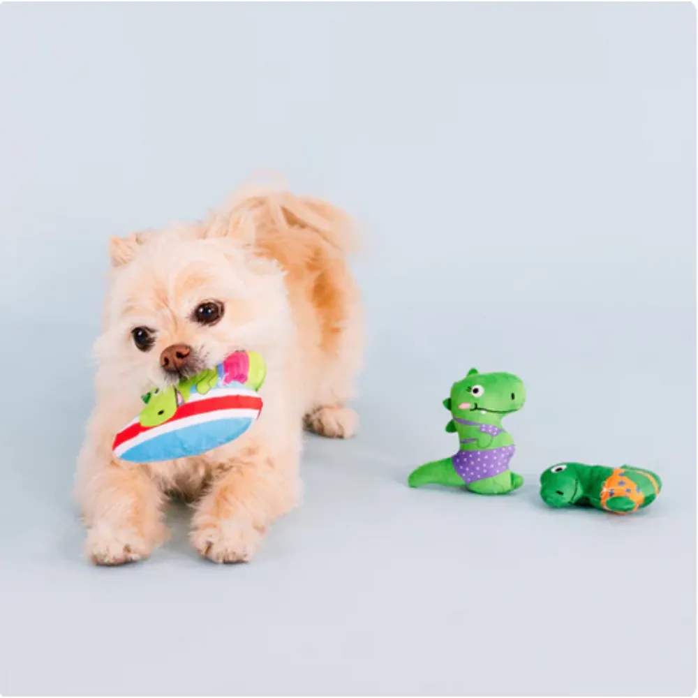 Rawrin Summer Plush Dog Toy 3pk