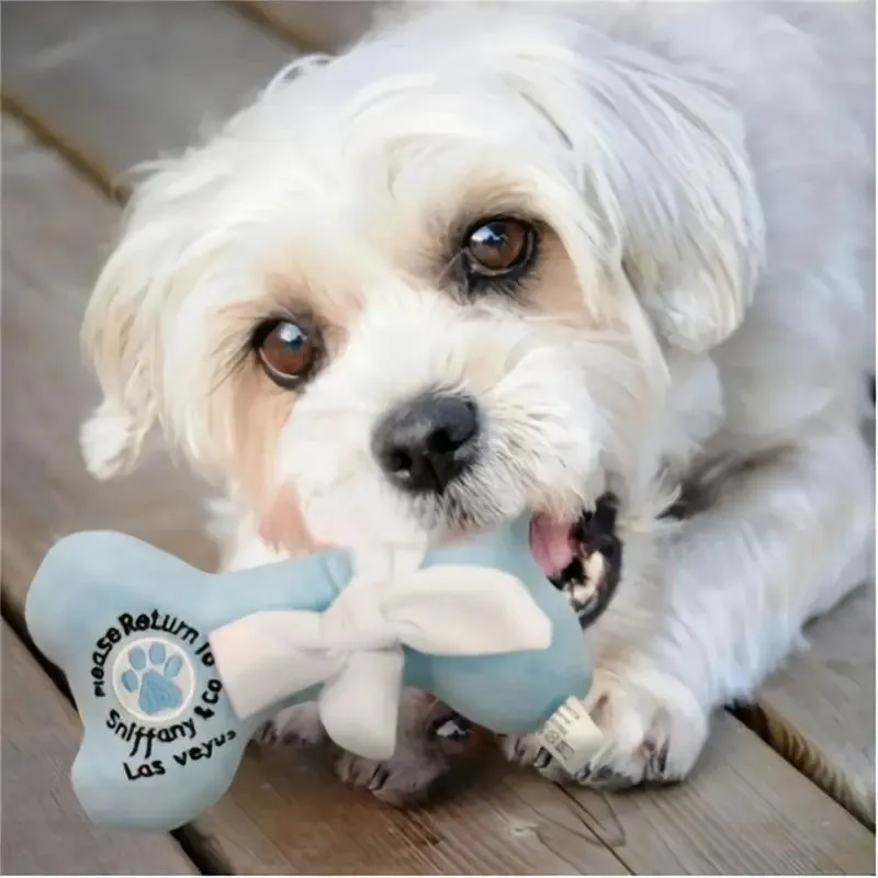 SNIFFANY & CO Plush Bone with Bowtie
