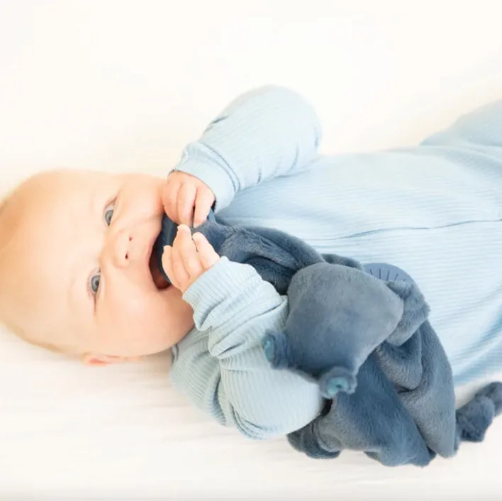 Teether Buddy Hippo