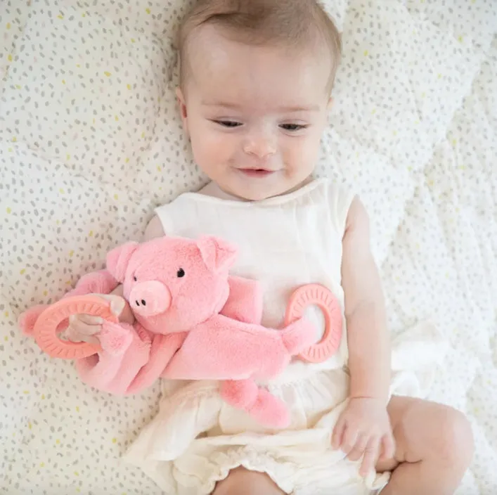 Teether Buddy Penny the Pig